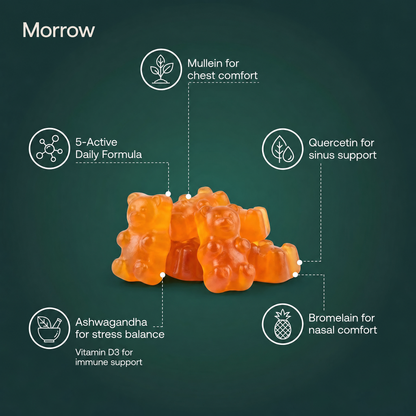 Morrow Mullein Gummies