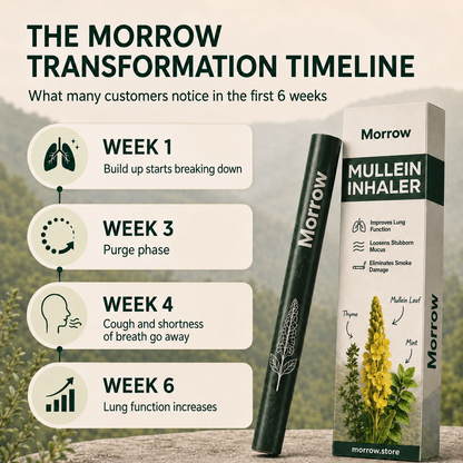 Mullein Inhaler
